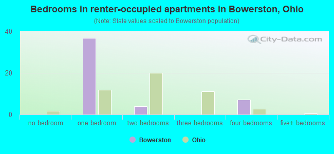Bedrooms in renter-occupied apartments in Bowerston, Ohio