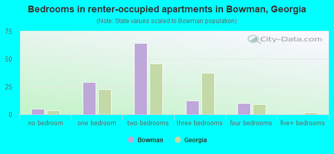 Bedrooms in renter-occupied apartments in Bowman, Georgia