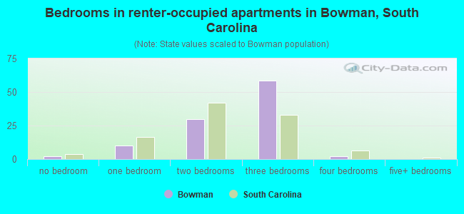 Bedrooms in renter-occupied apartments in Bowman, South Carolina