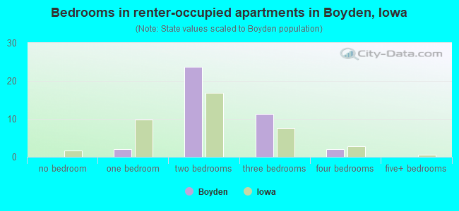 Bedrooms in renter-occupied apartments in Boyden, Iowa
