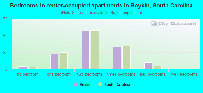 Bedrooms in renter-occupied apartments in Boykin, South Carolina