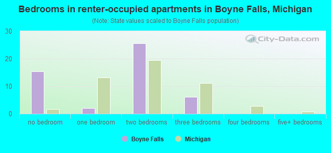 Bedrooms in renter-occupied apartments in Boyne Falls, Michigan