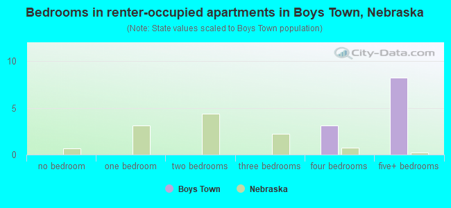 Bedrooms in renter-occupied apartments in Boys Town, Nebraska