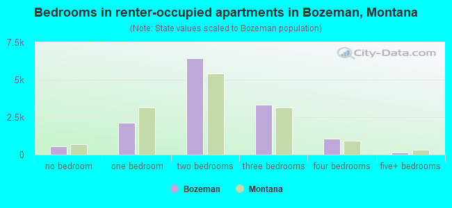 Bedrooms in renter-occupied apartments in Bozeman, Montana