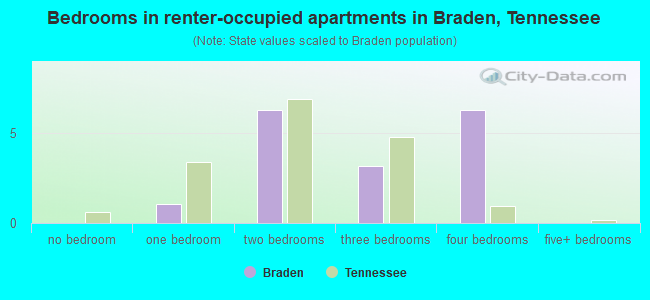 Bedrooms in renter-occupied apartments in Braden, Tennessee