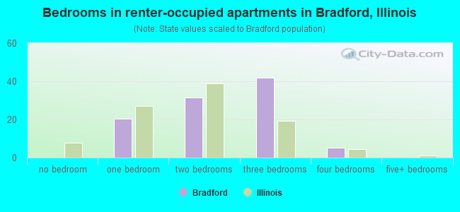 Bedrooms in renter-occupied apartments in Bradford, Illinois