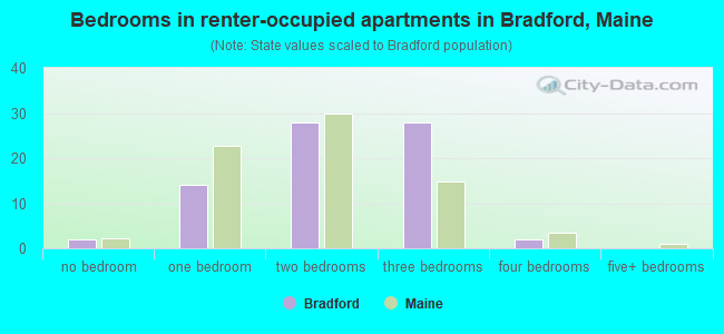 Bedrooms in renter-occupied apartments in Bradford, Maine