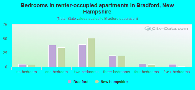 Bedrooms in renter-occupied apartments in Bradford, New Hampshire