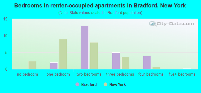 Bedrooms in renter-occupied apartments in Bradford, New York