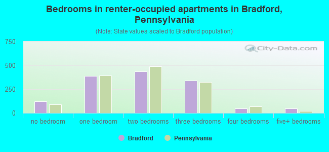 Bedrooms in renter-occupied apartments in Bradford, Pennsylvania