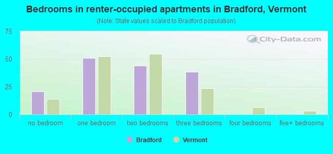 Bedrooms in renter-occupied apartments in Bradford, Vermont