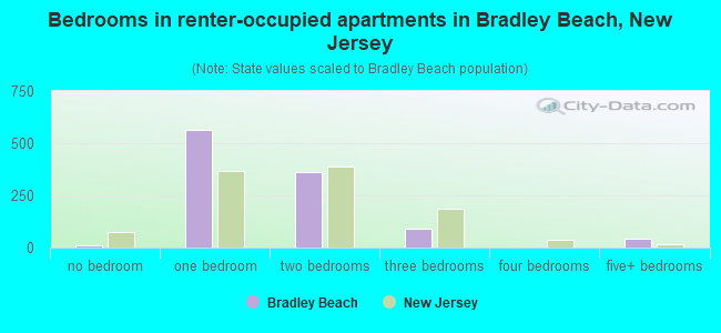 Bedrooms in renter-occupied apartments in Bradley Beach, New Jersey