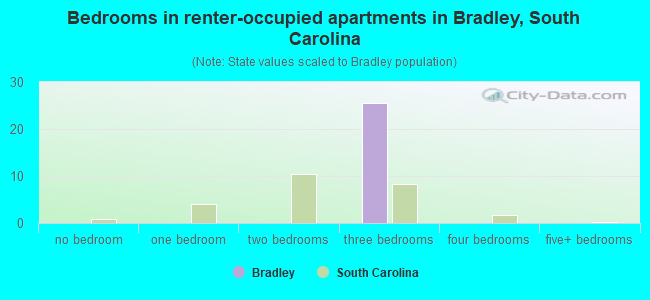 Bedrooms in renter-occupied apartments in Bradley, South Carolina