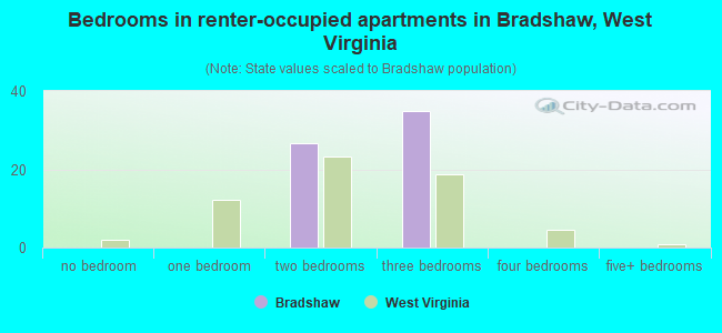 Bedrooms in renter-occupied apartments in Bradshaw, West Virginia