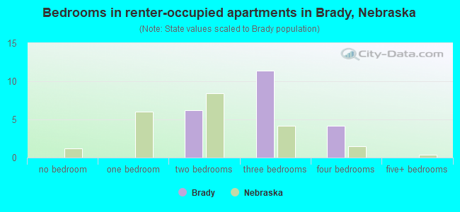 Bedrooms in renter-occupied apartments in Brady, Nebraska