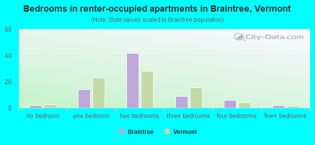 Bedrooms in renter-occupied apartments in Braintree, Vermont