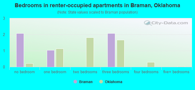 Bedrooms in renter-occupied apartments in Braman, Oklahoma