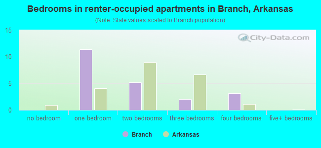 Bedrooms in renter-occupied apartments in Branch, Arkansas