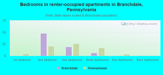 Bedrooms in renter-occupied apartments in Branchdale, Pennsylvania