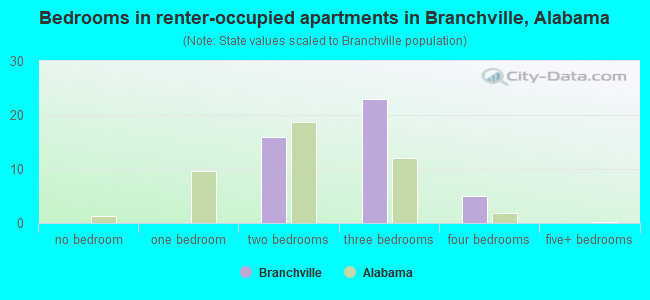 Bedrooms in renter-occupied apartments in Branchville, Alabama