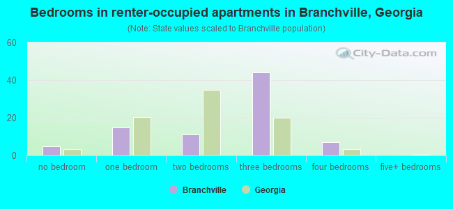 Bedrooms in renter-occupied apartments in Branchville, Georgia