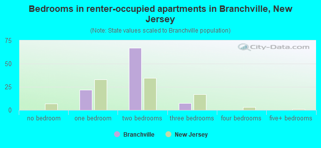 Bedrooms in renter-occupied apartments in Branchville, New Jersey