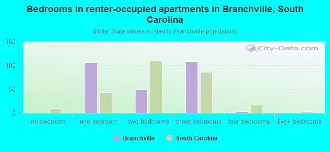 Bedrooms in renter-occupied apartments in Branchville, South Carolina