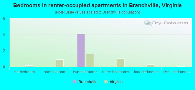 Bedrooms in renter-occupied apartments in Branchville, Virginia