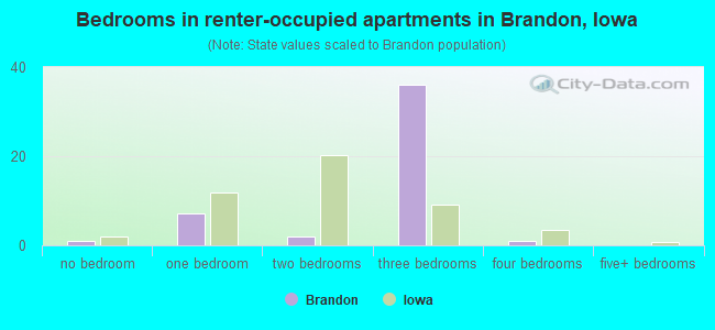 Bedrooms in renter-occupied apartments in Brandon, Iowa