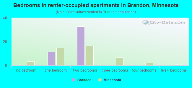 Bedrooms in renter-occupied apartments in Brandon, Minnesota