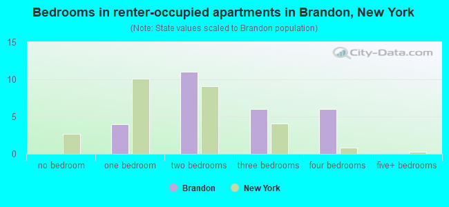 Bedrooms in renter-occupied apartments in Brandon, New York