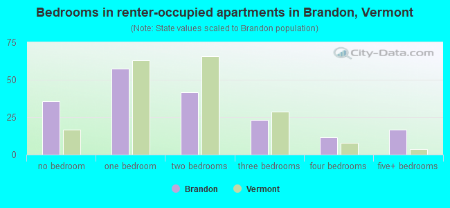 Bedrooms in renter-occupied apartments in Brandon, Vermont