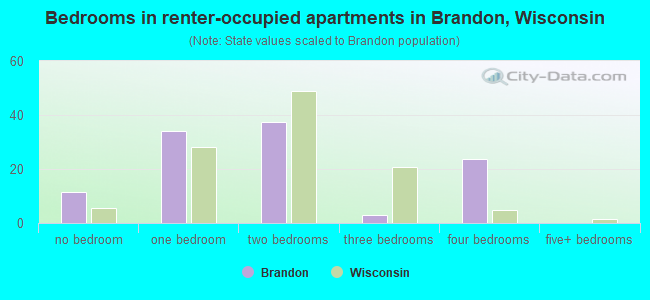 Bedrooms in renter-occupied apartments in Brandon, Wisconsin