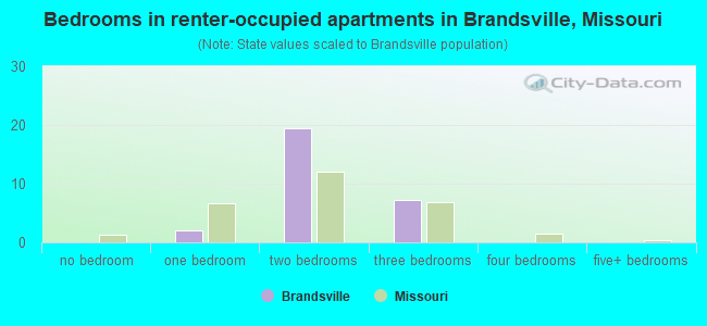 Bedrooms in renter-occupied apartments in Brandsville, Missouri