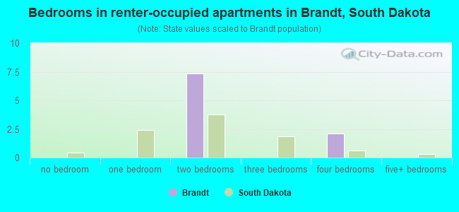 Bedrooms in renter-occupied apartments in Brandt, South Dakota