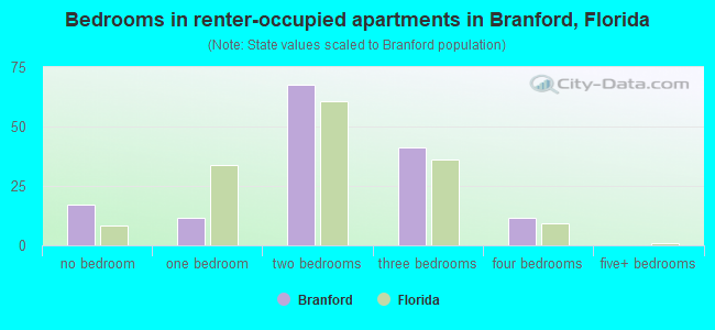 Bedrooms in renter-occupied apartments in Branford, Florida
