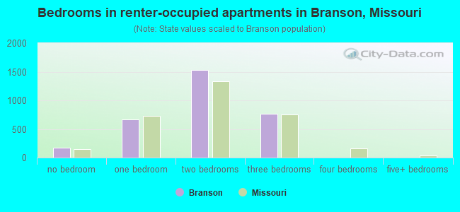 Bedrooms in renter-occupied apartments in Branson, Missouri