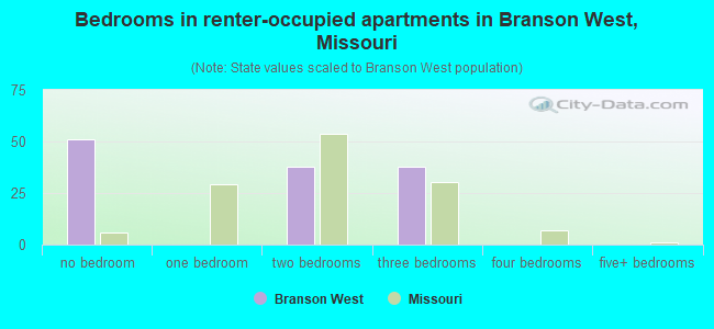 Bedrooms in renter-occupied apartments in Branson West, Missouri