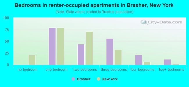 Bedrooms in renter-occupied apartments in Brasher, New York