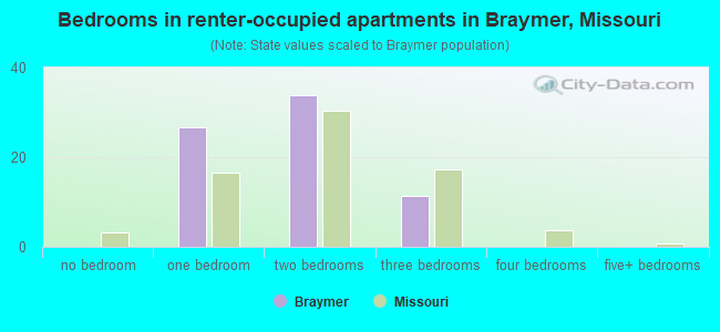 Bedrooms in renter-occupied apartments in Braymer, Missouri