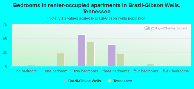 Bedrooms in renter-occupied apartments in Brazil-Gibson Wells, Tennessee