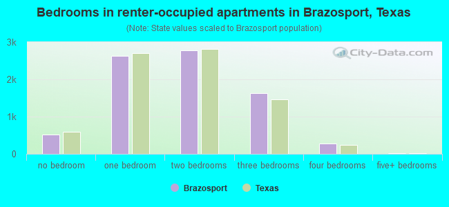 Bedrooms in renter-occupied apartments in Brazosport, Texas