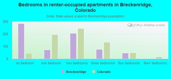 Bedrooms in renter-occupied apartments in Breckenridge, Colorado