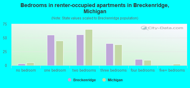 Bedrooms in renter-occupied apartments in Breckenridge, Michigan
