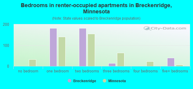 Bedrooms in renter-occupied apartments in Breckenridge, Minnesota
