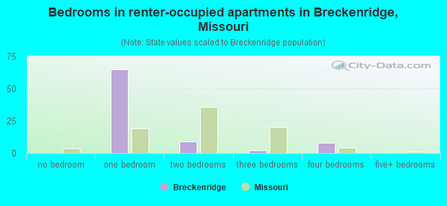 Bedrooms in renter-occupied apartments in Breckenridge, Missouri