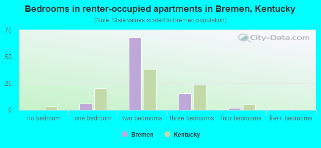 Bedrooms in renter-occupied apartments in Bremen, Kentucky