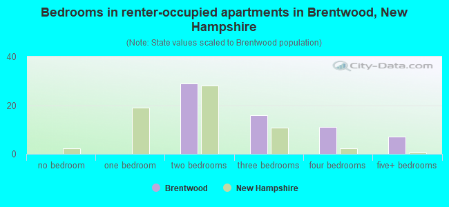 Bedrooms in renter-occupied apartments in Brentwood, New Hampshire