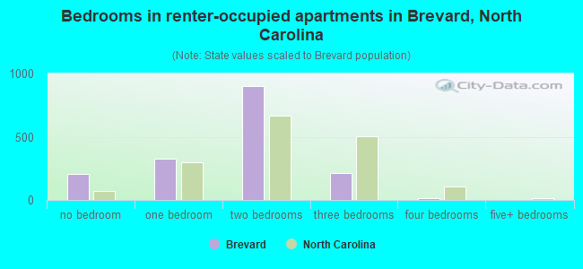 Bedrooms in renter-occupied apartments in Brevard, North Carolina