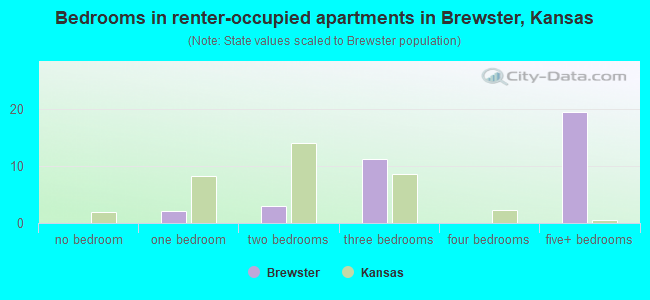 Bedrooms in renter-occupied apartments in Brewster, Kansas
